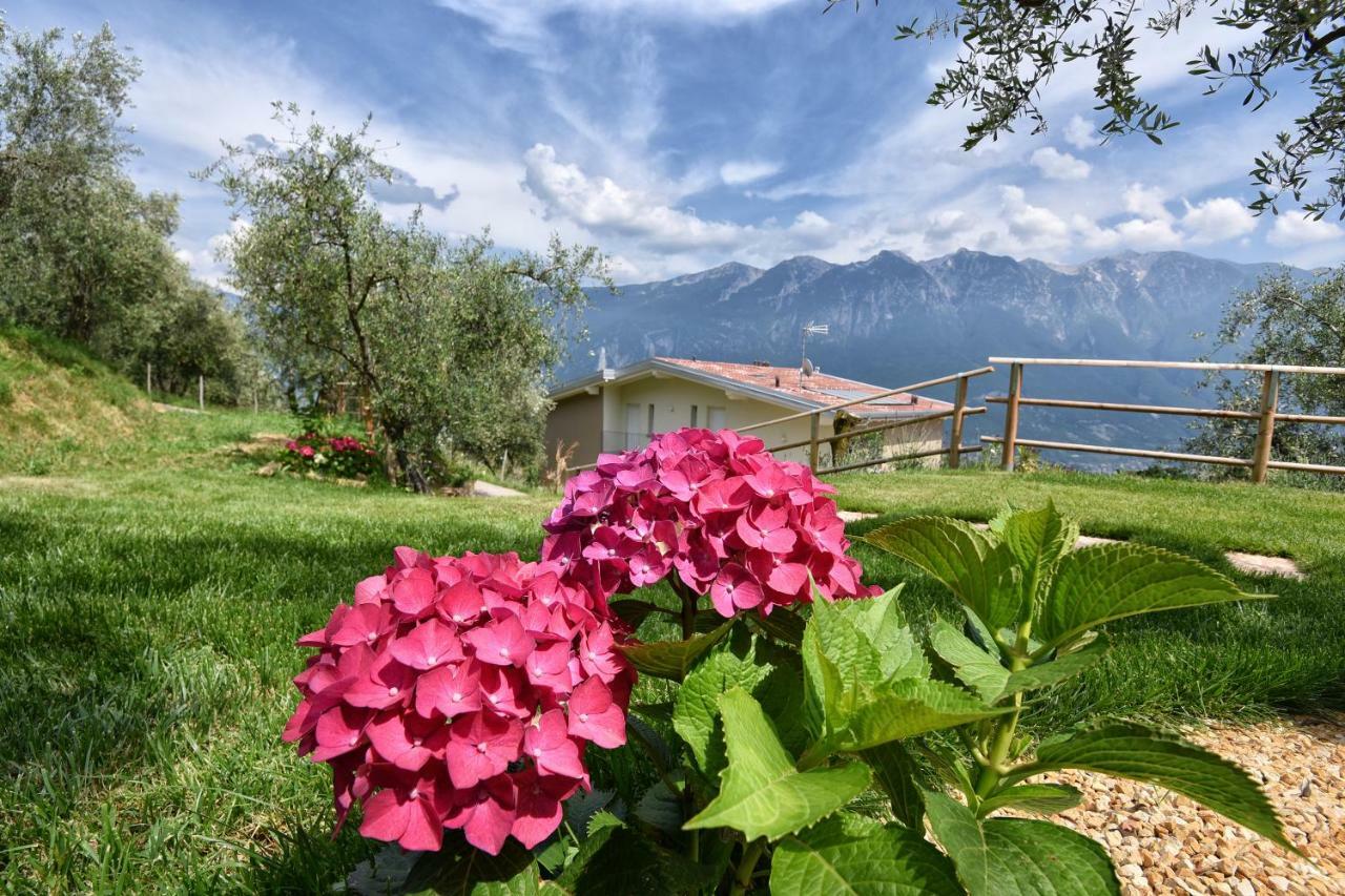 Villa Casa Negli Ulivi Tremosine Exterior foto
